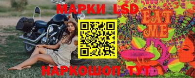 винт Можга