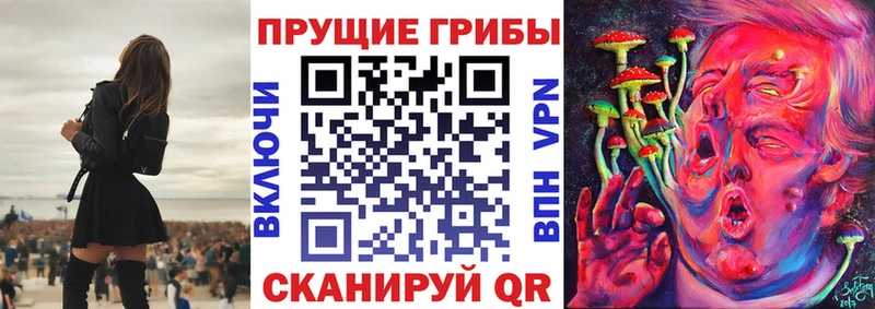 Псилоцибиновые грибы прущие грибы  Орск 
