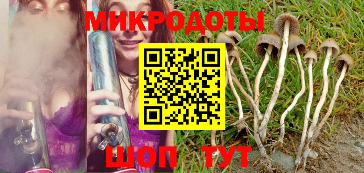Галлюциногенные грибы Magic Shrooms Орск